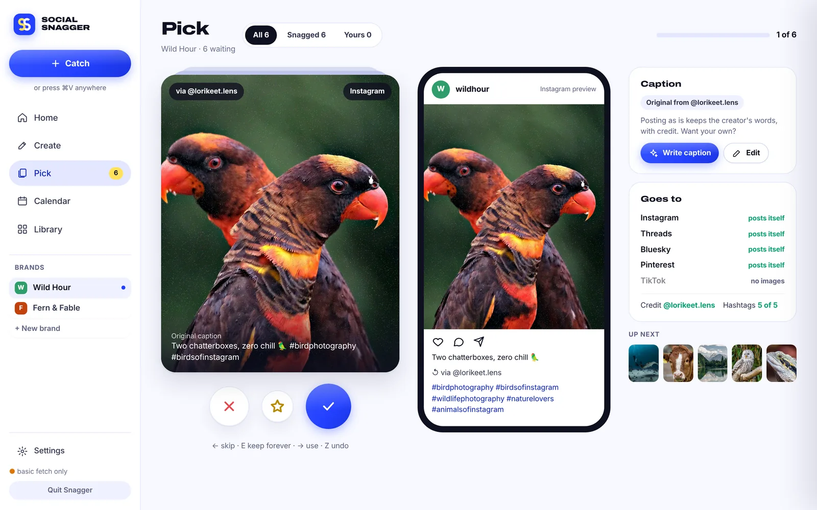 The Pick deck with a reposted photo, the creator’s credit and an Instagram preview